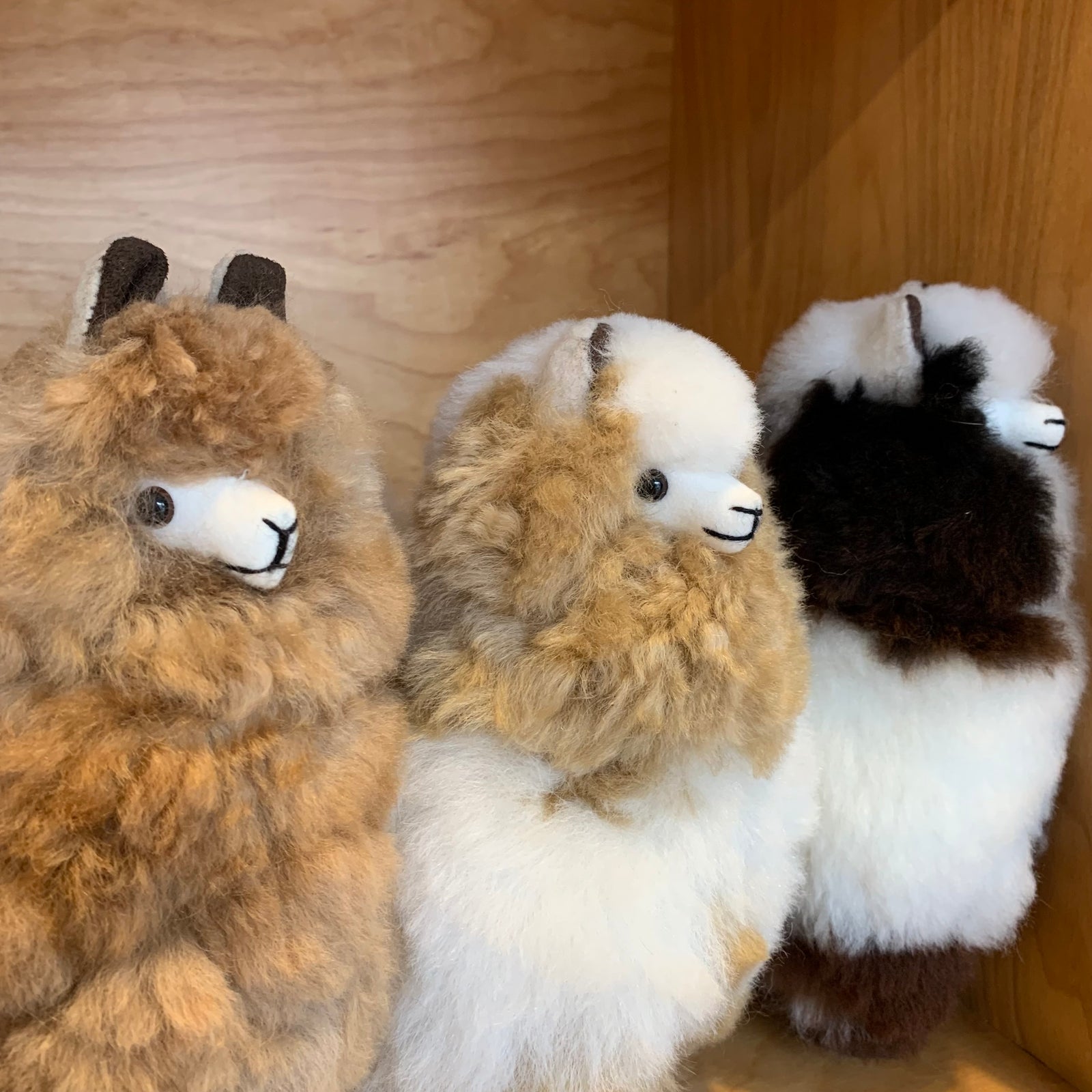 alpaca wool stuffed animals