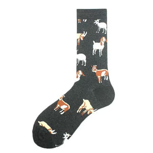 Fun Patterned Cotton Sock Collection