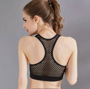 Stretchy Mesh Color Contrast Padded Bralette