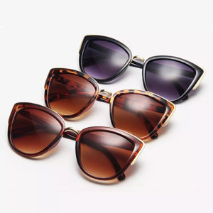 Gold Accent Rounded Cat Eye Fashion Sunglasses