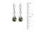 Dazzle Crystal Drop Sterling Silver Earrings